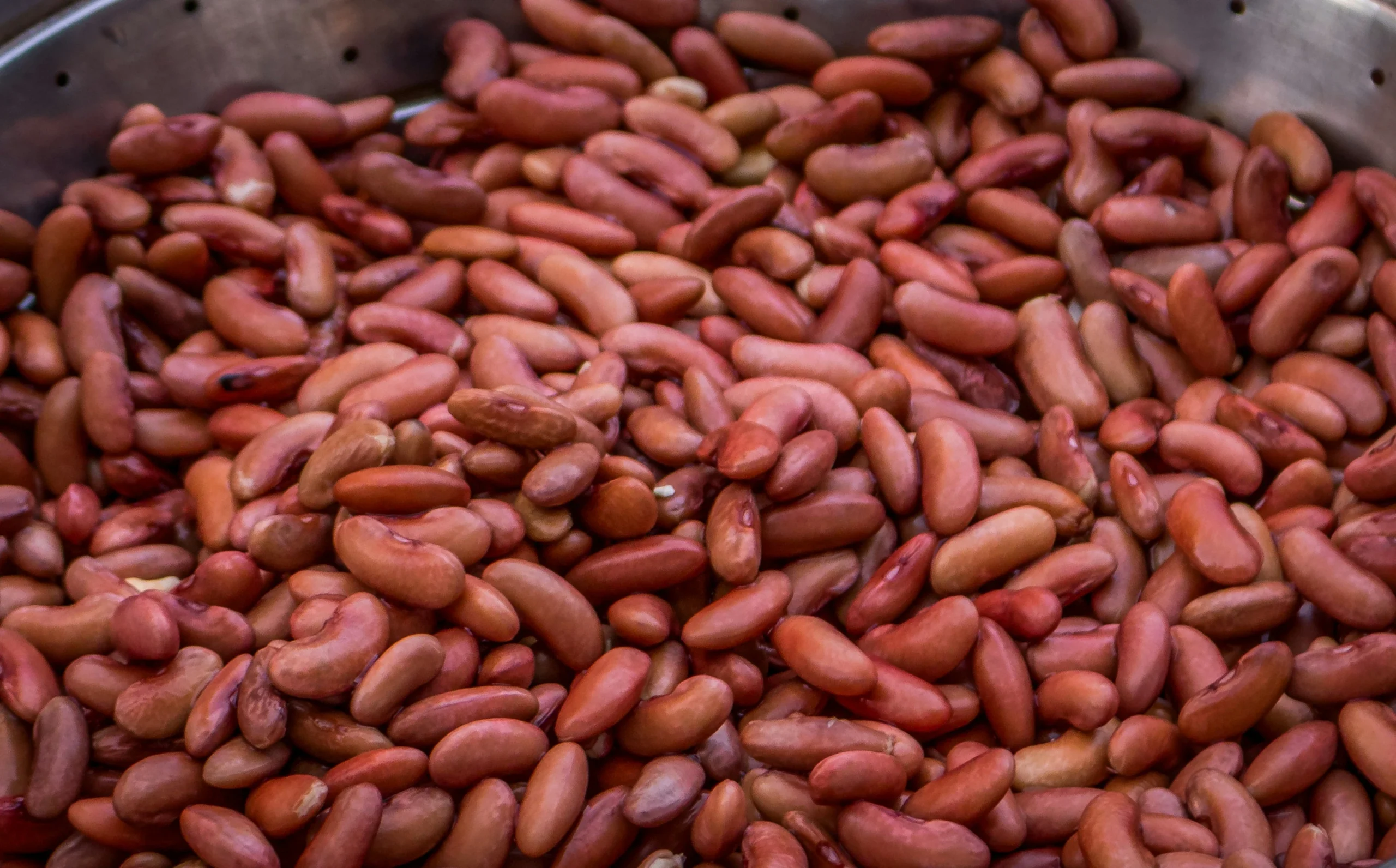 kacang merah